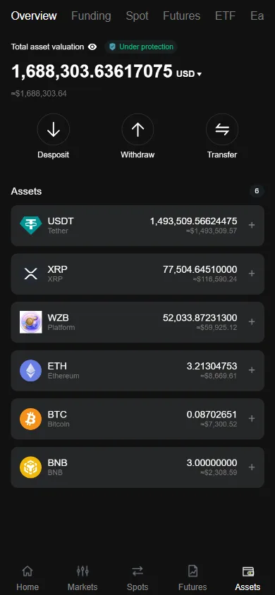 Assets: multi-wallet valuation and coin list