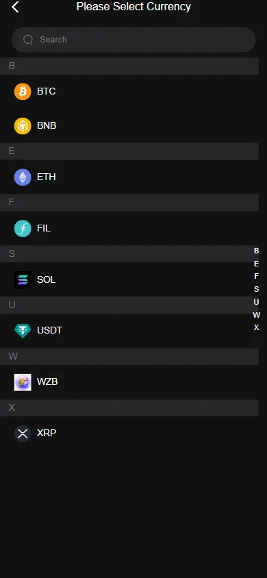 Withdraw: address, network and available balance checks